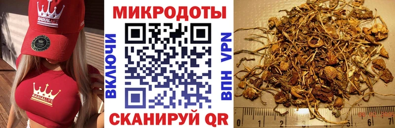 закладка  Дальнереченск  Псилоцибиновые грибы мухоморы 
